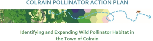 Colrain Pollinator Action Plan